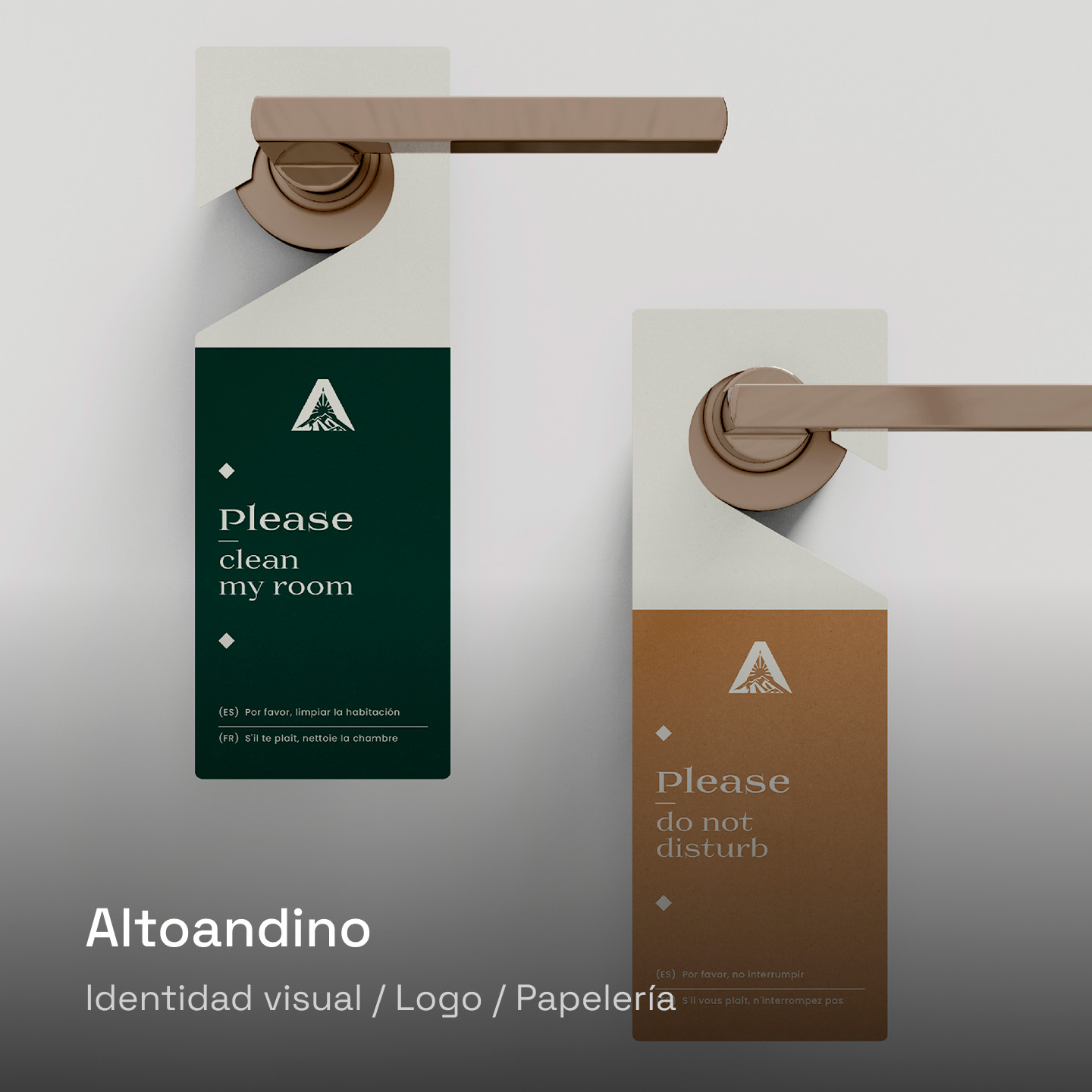 AltoAndino_03