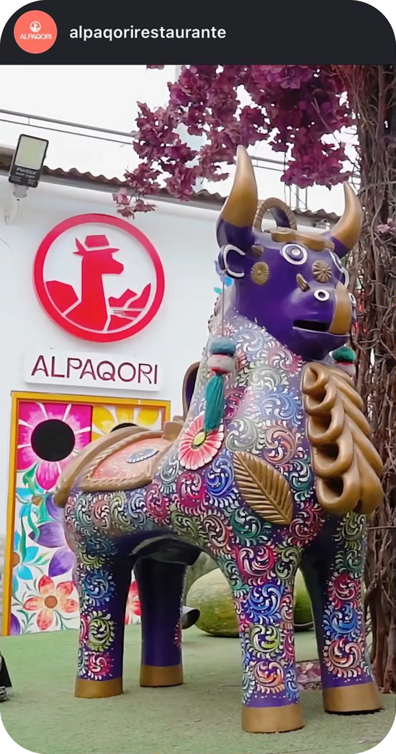 MARKETING GASTRONOMICO ALPAQORI 02 scaled