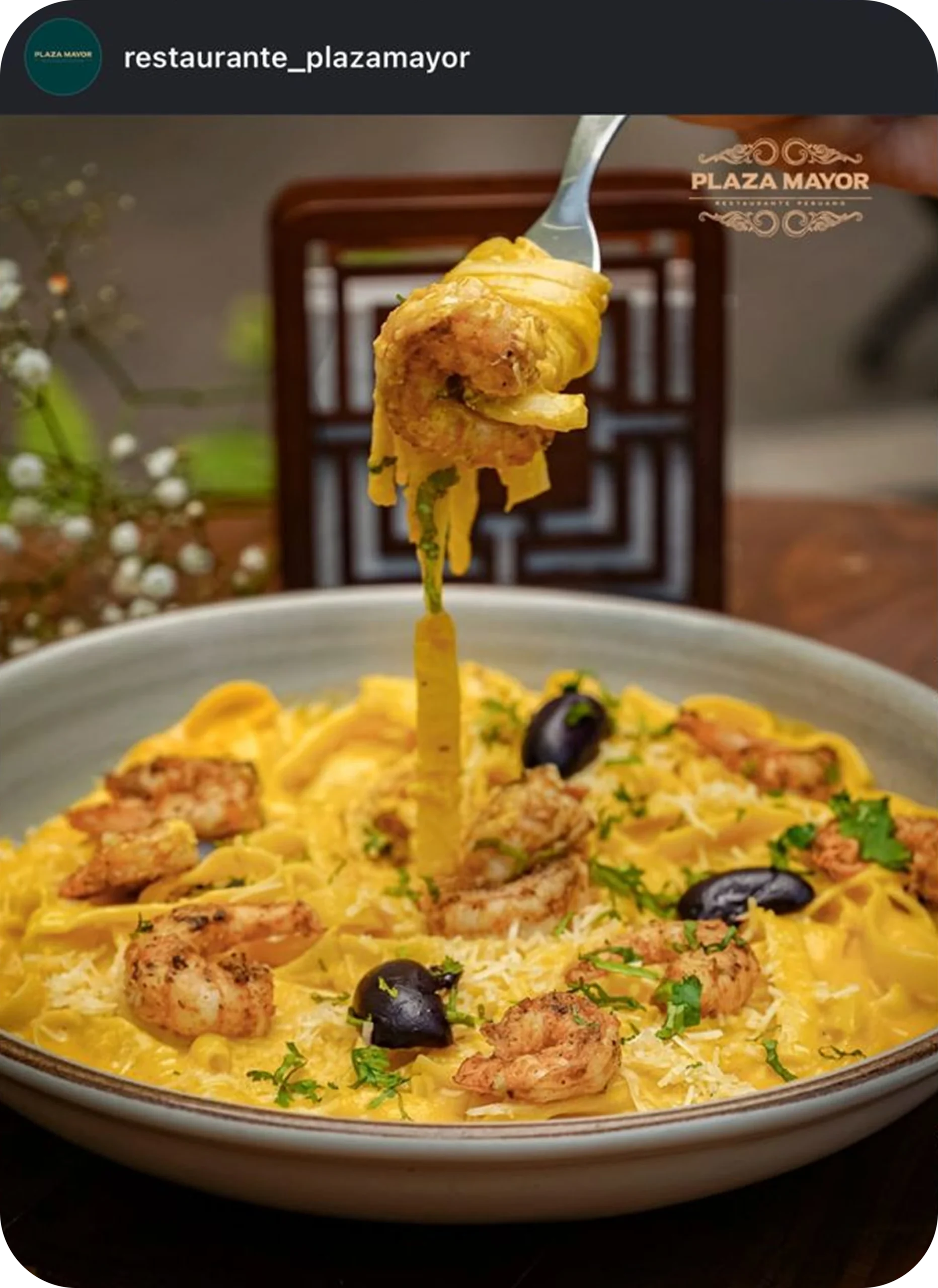 MARKETING GASTRONOMICO PLAZA MAYOR 01 scaled