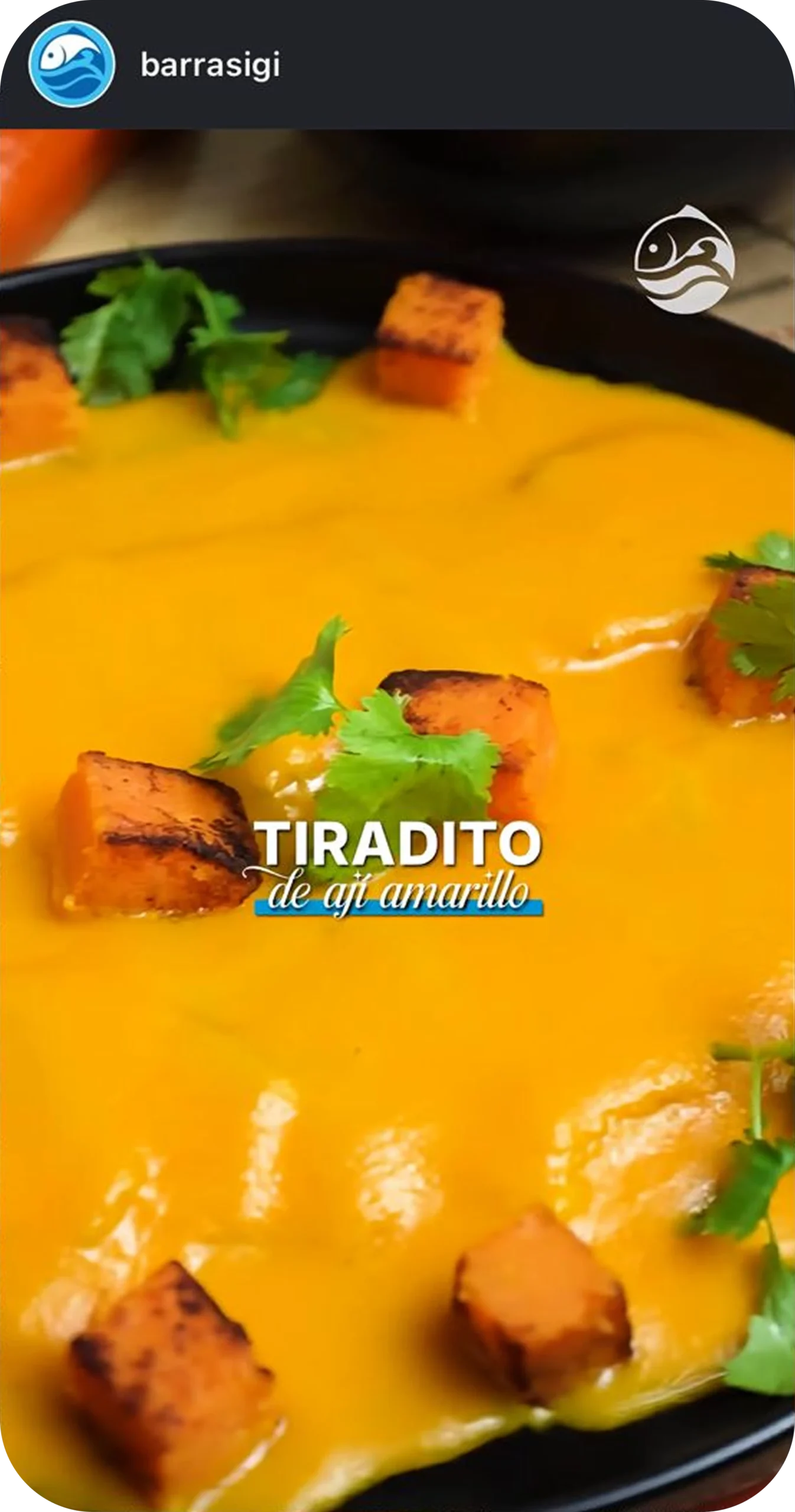 SOCIAL MEDIA BARRA SIGI 02 scaled